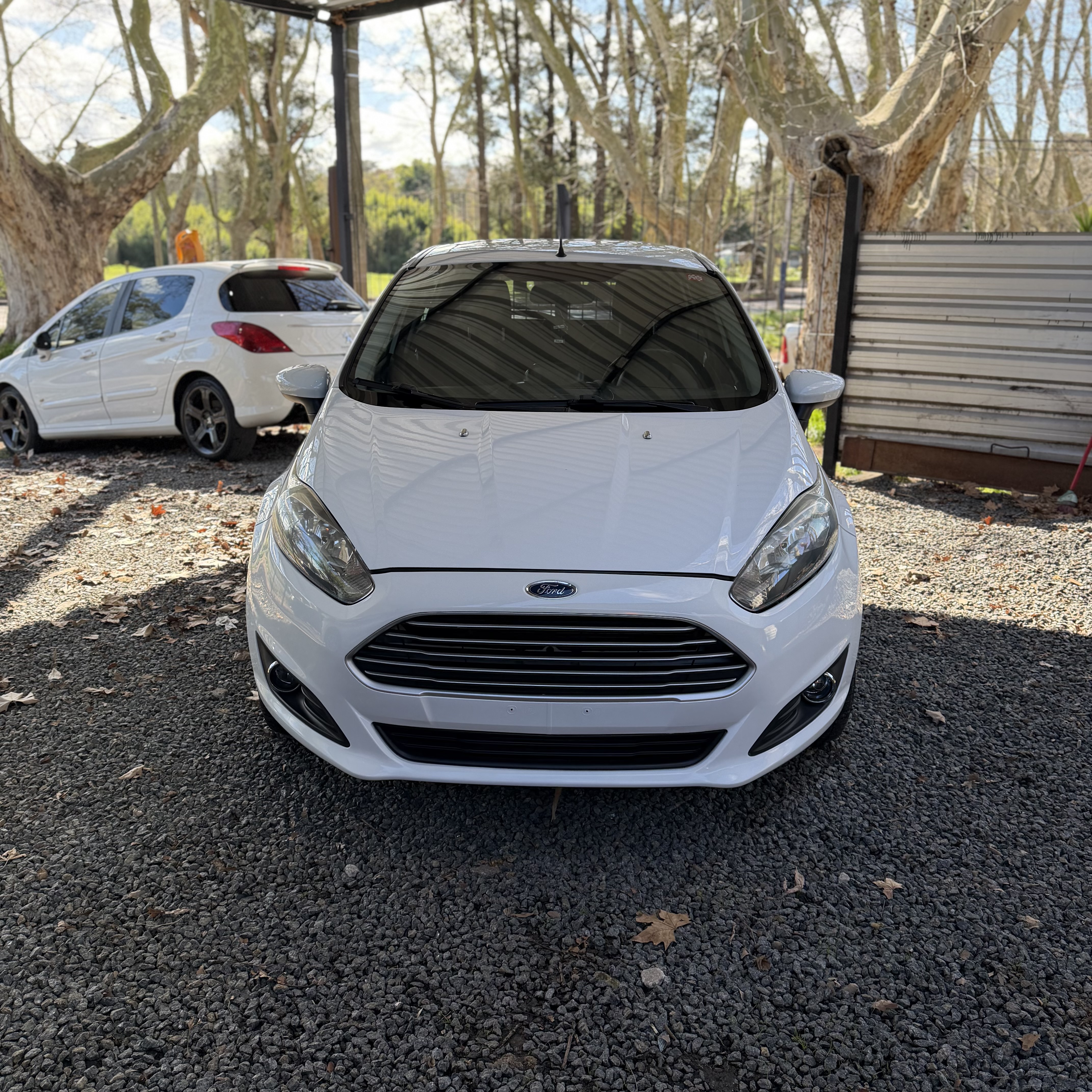 Ford Fiesta foto 2